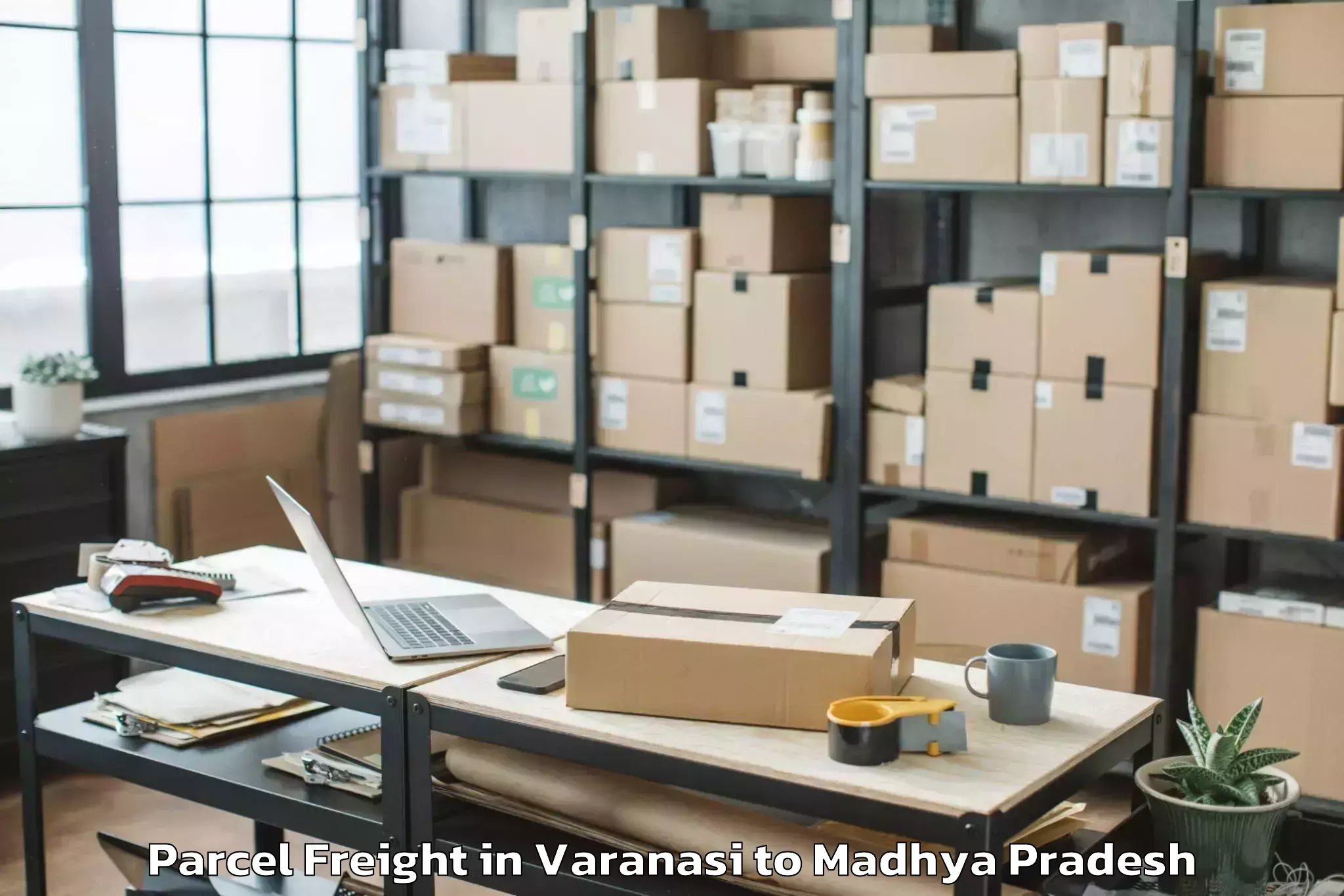 Book Varanasi to Katni Parcel Freight